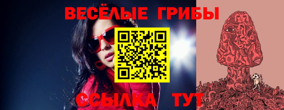 Галлюциногенные грибы Magic Shrooms Зеленогорск